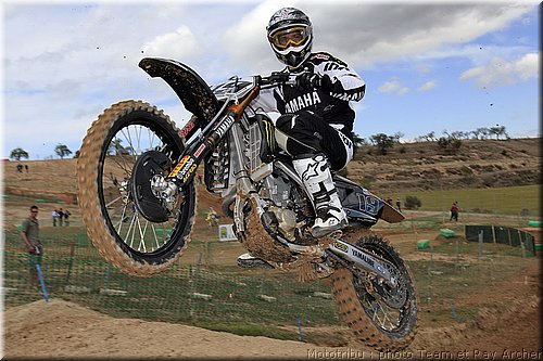 philippaerts_2.jpg