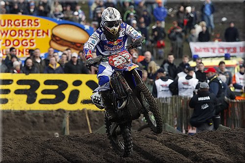 cairoli_1.jpg