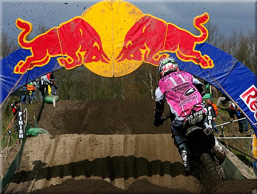 paulin_05.jpg