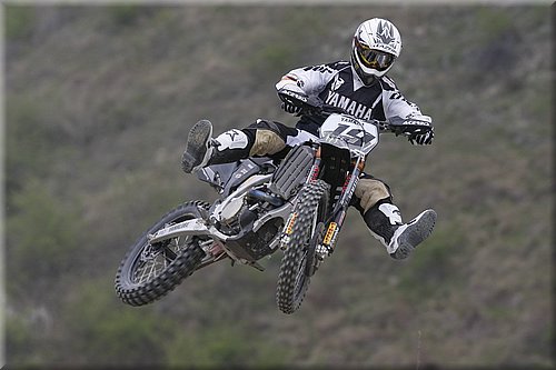 philippaerts_2.jpg