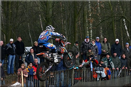 searle_4.jpg