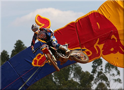 searle_002.jpg