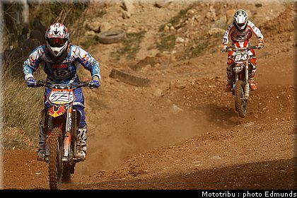 everts_herlings.jpg