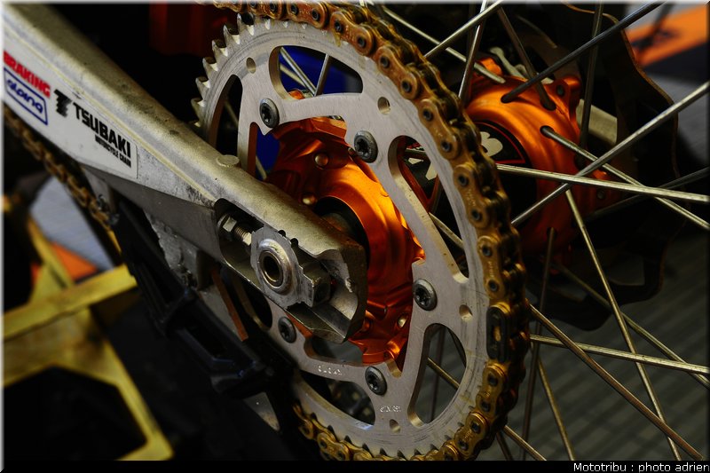 cross_paddock_pernes2009_027