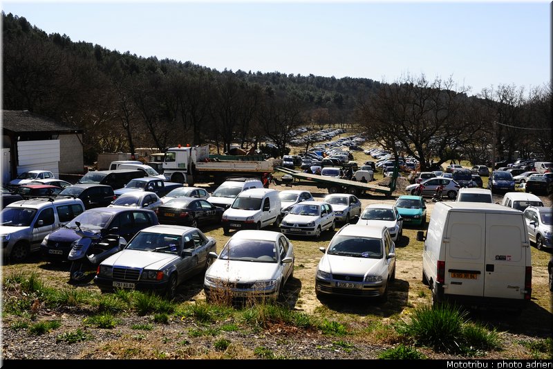 cross_paddock_pernes2009_071