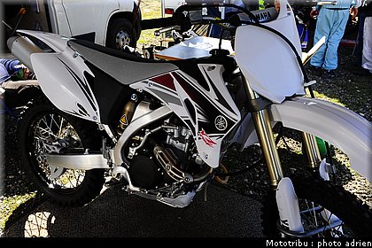 cross_paddock_pernes2009_054.JPG