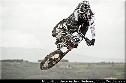 philippaerts_1.jpg