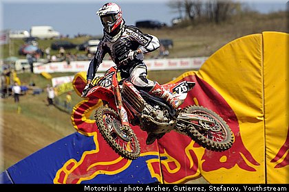 musquin_1.jpg