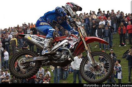 mx11_desalle_1.jpg