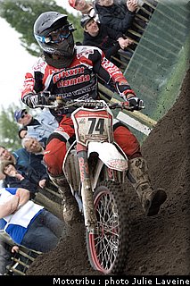 mx11_steinbergs.jpg
