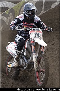 mx12_steinbergs_3.jpg