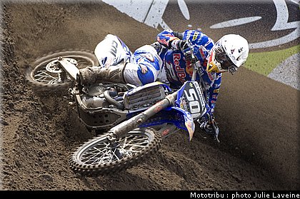 mx21_lupino_2.jpg