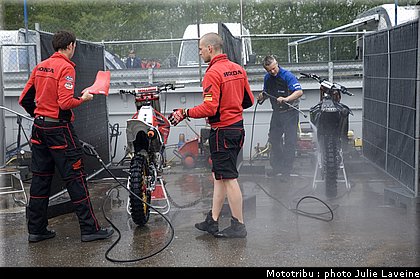 paddock_001.jpg