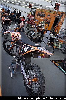 paddock_007.jpg
