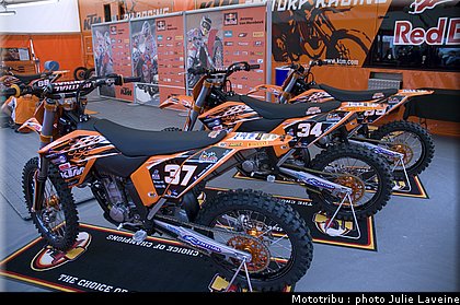 paddock_008.jpg