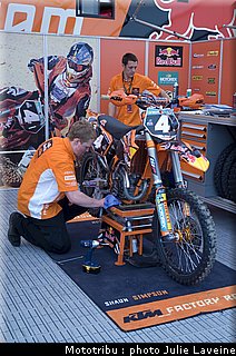 paddock_009.jpg
