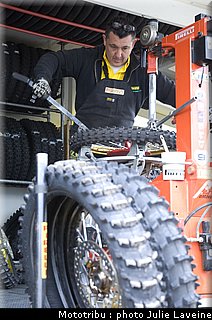 paddock_013.jpg
