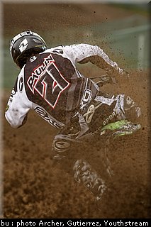 paulin_3.jpg