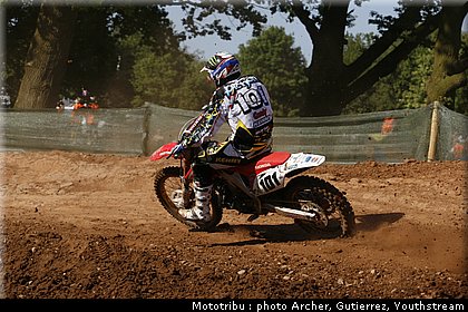 pichon_1.jpg