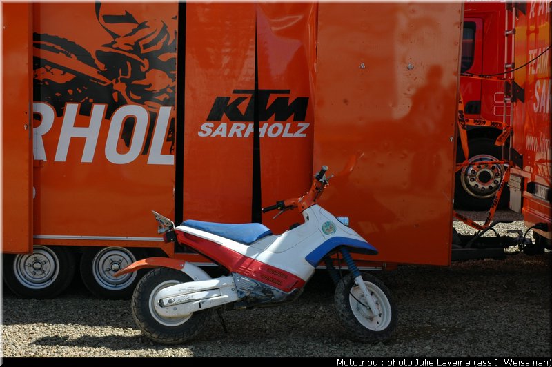 paddock_13
