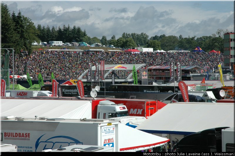 paddock_16