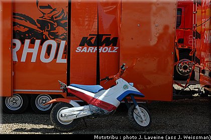 paddock_13.jpg
