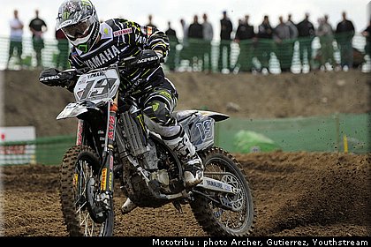 philippaerts.jpg