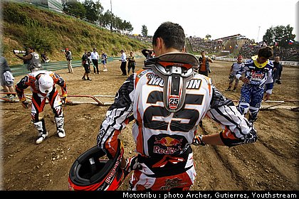 musquin_10.jpg