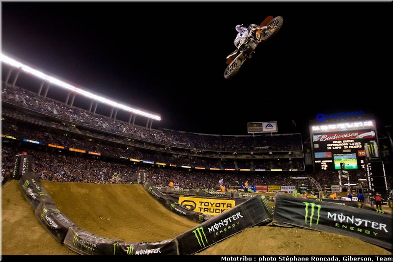 0087_sipes