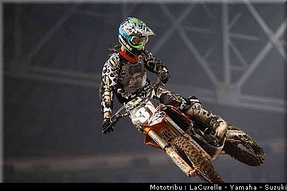 049_sipes_1_phoenix.jpg