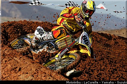 127_alessi_2_suzuki.JPEG