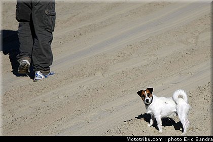 beach_cross_berck_011.jpg