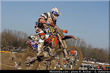 laier_mantova_2010.jpg