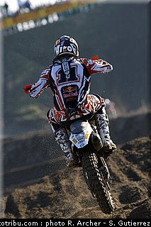 simpson_04_mantova_2010.jpg