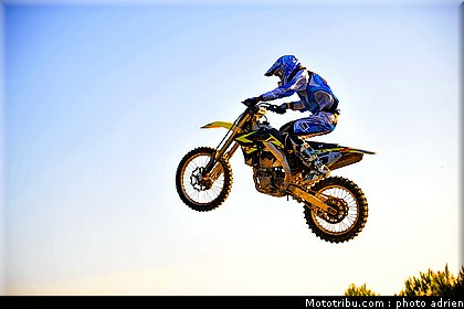 coulon_3_mx_pernes_2010.JPG
