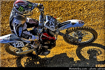 llamas_01_mx_masculin_pernes_2010.JPG