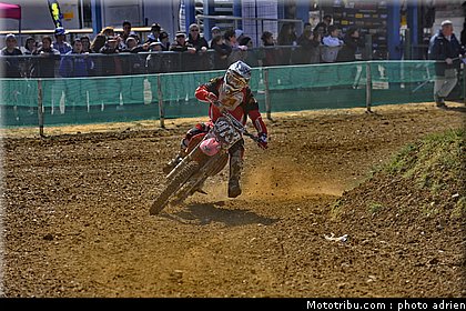 marrone_2_mx_masculin_pernes_2010.JPG