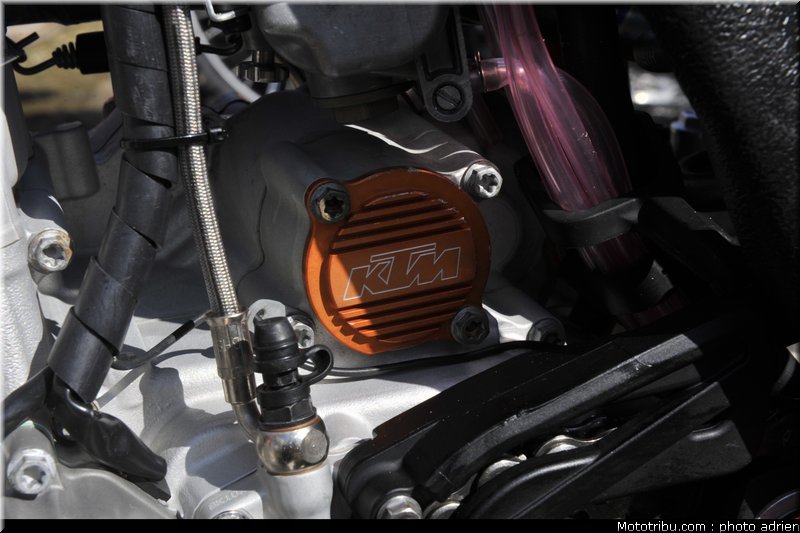paddock_cross_pernes_2010_042