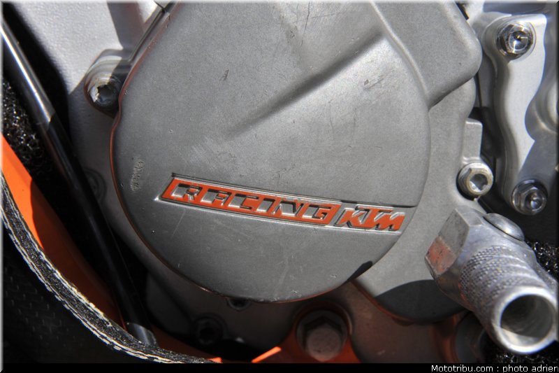 paddock_cross_pernes_2010_043