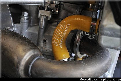 paddock_cross_pernes_2010_006.JPG
