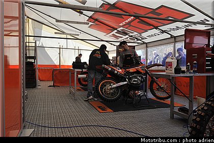 paddock_cross_pernes_2010_018.JPG