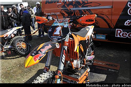 paddock_cross_pernes_2010_039.JPG