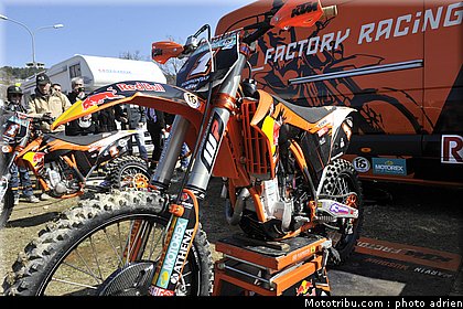 paddock_cross_pernes_2010_040.JPG