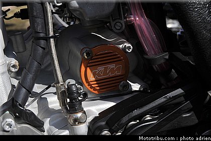 paddock_cross_pernes_2010_042.JPG