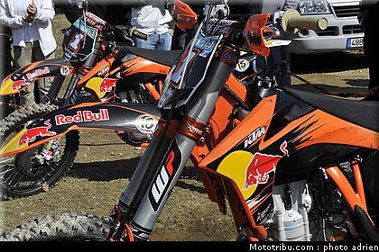 paddock_cross_pernes_2010_045.JPG