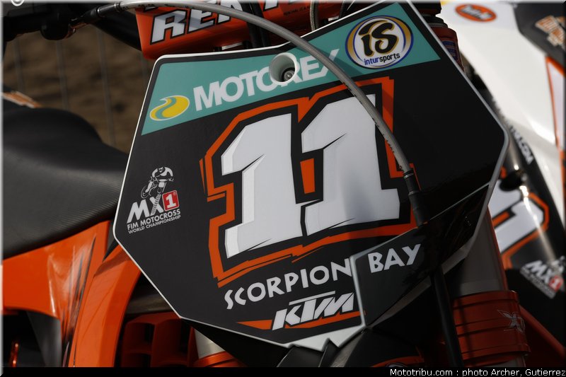 mondial_mx_simpson_09_pays_bas_2010