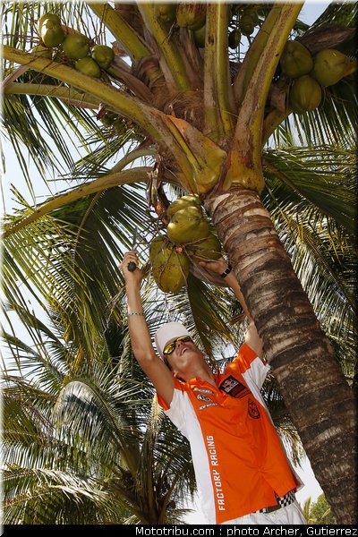 mondial_mx_musquin_04_bresil_2010
