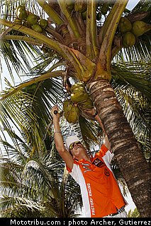 mondial_mx_musquin_04_bresil_2010.jpg