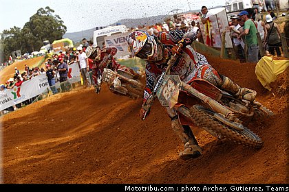 cross_herlings_03_portugal_agueda_2011.jpg
