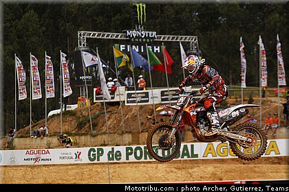 cross_herlings_17_portugal_agueda_2011.jpg